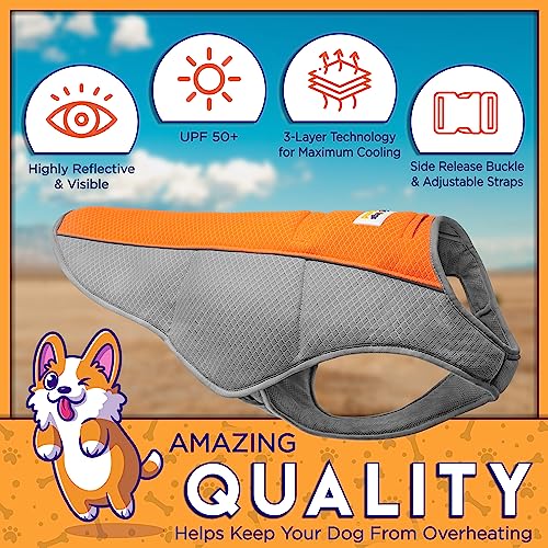 4LegsFriend Cooling Vest for Small, Medium to XLarge Dogs - Evaporative Vest for Hot Summer Days - Adjustable Cooling Jack...