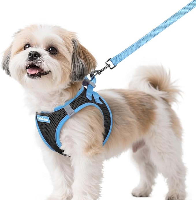 rabbitgoo Dog Harness Small Sized and Leash Set, Step-in Breathable Pet Harness, Soft Walking Reflective Puppy Vest for Sm...