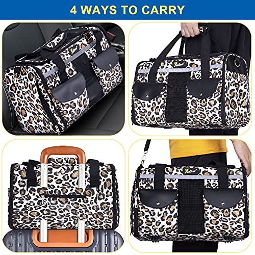Petotw Pet Carrier for Small Dogs and Cats - Soft-Sided Travel Kennel, Portable Foldable Bag (Large)