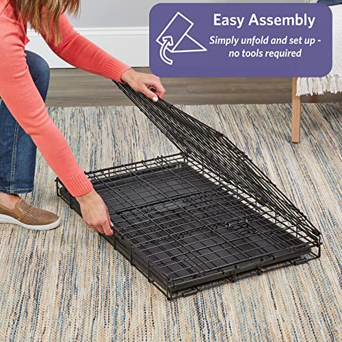MidWest Homes for Pets 18-Inch iCrate for Tiny Breeds, Up to 10 lbs, Single Door Folding Dog Crate with Divider Panel, Lea...