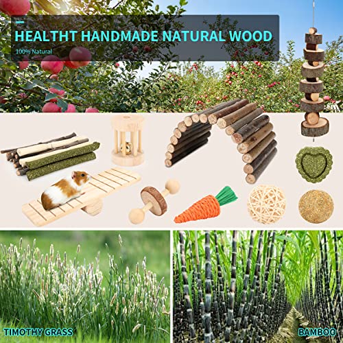 YIXUND Hamster Cage Accessories, 12 Different Chew Toys for Guinea Pig, Chinchillas, Gerbils, Mice, Rats, Mouse, Rabbit, B...