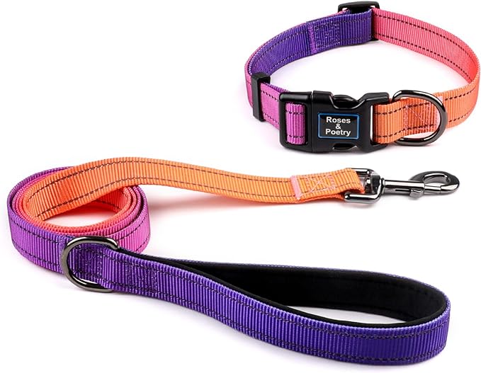Roses&Poetry Puppy Dog Collar and Leash Set, Reflective Dog Leash for Small Dogs, Cute Matching Collars and Leashes Padded...
