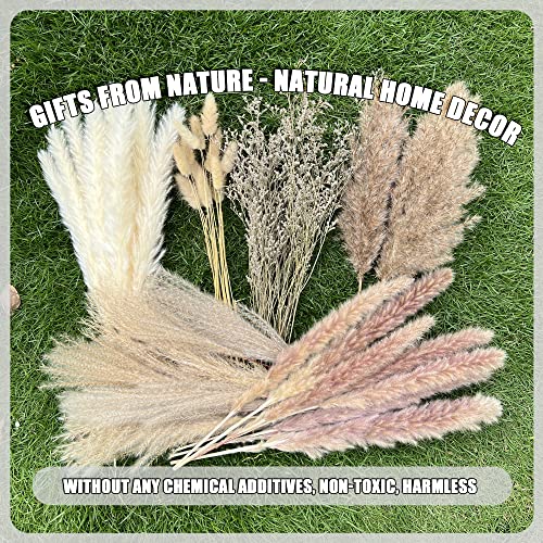 100Pcs Pampas Grass Boho Home Decor 17 inch Natural Dried Flowers-Pampas Grass Contains Bunny Tails White Pampas Brown Pam...