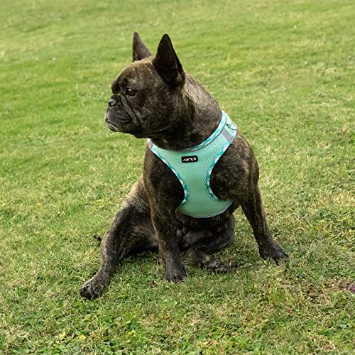 AMTOR Small Dog Harness with Leash Set, No Escape Easy Walk Puppy Harnesses for Training Walking, Step-in Reflective Soft ...