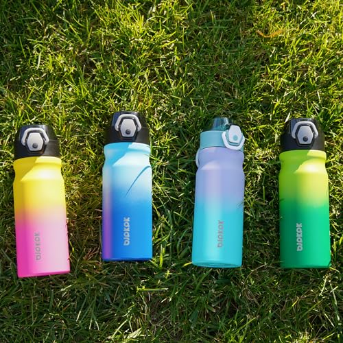 BJPKPK Insulated Water Bottle 18oz Stainless Steel Water Bottles with Straw and Carry Handle Double Wall Metal Thermal Fla...