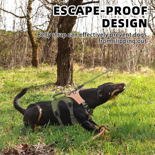 PUPTECK Escape Proof Dog Harness and Leash Set Upgraded No Pull Reflective Dog Vest with Lift Handle, Easy Control Pet Har...