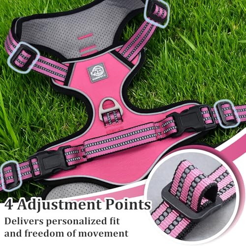 Vest Harness for Dogs - Reflective Adjustable Padding with Easy-On Design & Leash Attachment(S, Hot Pink)