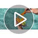 Towel Bands (6-Pack), Beach Pool & Cruise Chairs, Extra Durable, No Snapping, Cruise Ship & Beach Essentials, Great Altern...