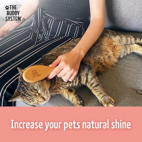The Buddy System Cat Brush with Boar Bristle and Wooden Handle, Professional Grade Daily Grooming Hairbrush, Reduce Sheddi...