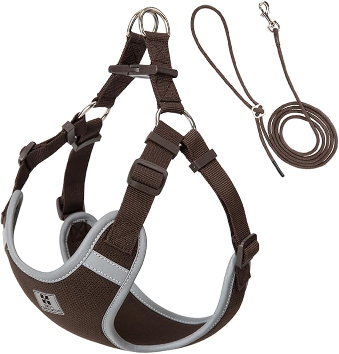SMALL COMBINATION Dog Harness, Reflective No-Pull Pet Vest Harness for Small Medium Dogs, Adjustable Breathable Sandwich M...