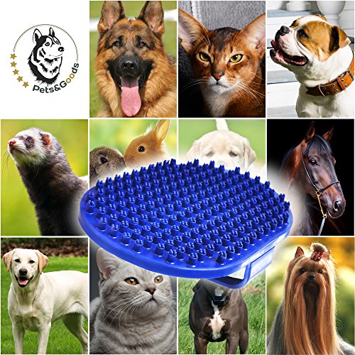 Pets&Goods Rubber Grooming Brush for Dogs & Cats - Gentle Deshedding Bath Brush for Short & Medium Hair - Soft Bristles, A...