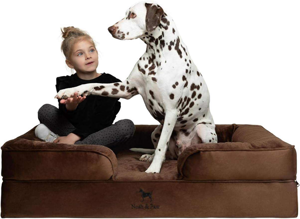 NOAH & PAW XL Dog Bed, 45x35x11 Inch, Orthopedic Large Dog Beds, Eggshell Memory Foam Infused with Cooling Gel, Inner Cove...