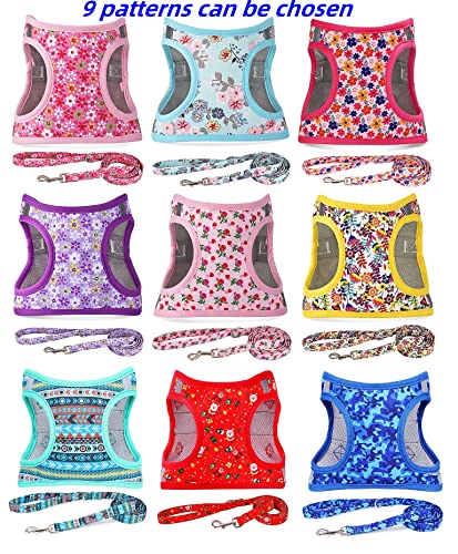 Moonpet Step in Valentine's Day Dog Harness Leash Set- All Weather Reflective No-Pull Floral Pattern Padded Mesh Vest Harn...