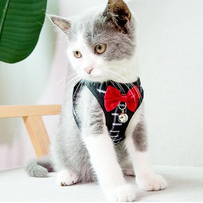Cat Leash and Harness Set,Breathable Dog Harness,Pet Harness,Adjustable Mesh cat Harness and Leash Escape Proof for Puppy ...