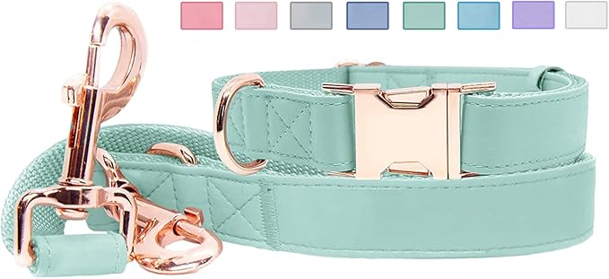 Soft Leather Dog Collar and Leash (6.6') Set - Stylish Rose Gold Heavy Duty Metal Buckle, 4 Adjustable Lengths Leash for S...