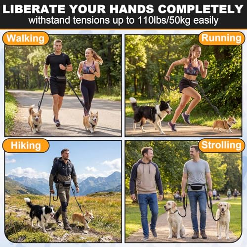 Aliceset Hands Free Double Dog Leash for 2 Dogs, with 2 Adjustable Harnesses + 2 Bungee Leashes + Waist Bag, Dual Handles...