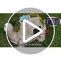 Nacome Solar Garden Outdoor Statues Turtle with Succulent and 7 LED Lights - Lawn Decor Statue for Patio, Balcony, Yard Or...