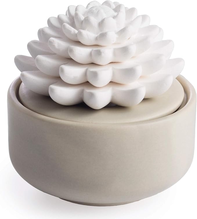 Airomé White Succulent, Porcelain Passive Essential Oil Diffuser (with 15ml Peppermint Essential Oil) – Non-Electric, Batt...