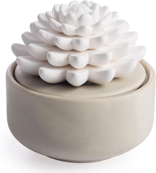 Airomé White Succulent, Porcelain Passive Essential Oil Diffuser (with 15ml Peppermint Essential Oil) – Non-Electric, Batt...
