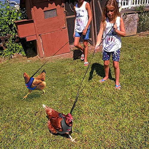 4 Pcs Adjustable Chicken Harness with Leash- 4 Styles Comfortable Hen Vest Breathable Mesh Training Harness and Leash for ...