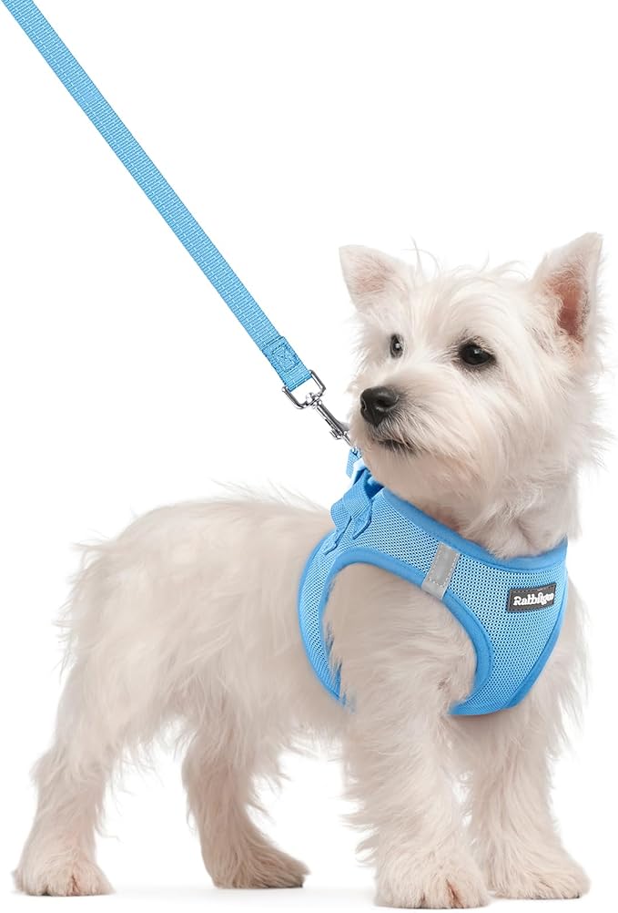 rabbitgoo Dog Harness Small Sized and Leash Set, Step in Soft Light Puppy Vest, Breathable Mesh Pet Harness, Reflective fo...