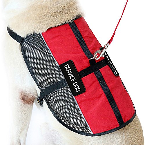 PLUTUS PET Service Dog Vest with 2 Removable Patches, Light Weight and Breathable Mesh Service Animal Harness,Perfect for ...