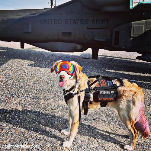 OneTigris Service Dog Vest Harness, Service Dog Cape Guardian Dog Backpack Harness with Pouches Dog Saddle Bag for Small M...