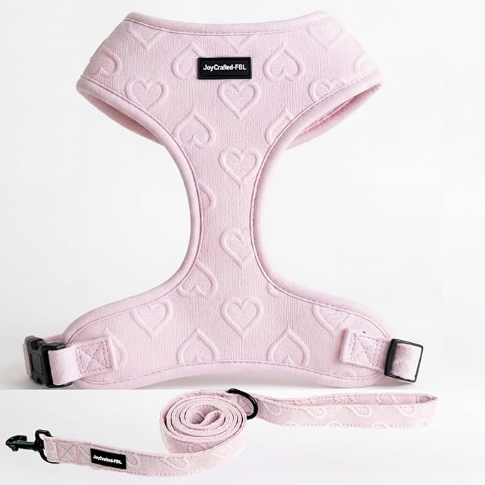 JoyCrafted-FBL No Pull Dog Harness & Leash Set | Lightweight Breathable Neoprene, Cute Heart Pattern, Adjustable Step-In V...