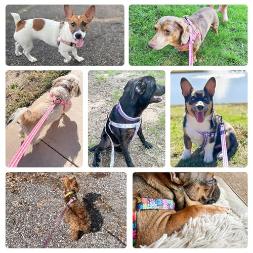 BEAUTYZOO No Pull Dog Harness and Leash Set - Adjustable Step-in Puppy Harness for Small Medium Large Dogs, Escape Proof S...