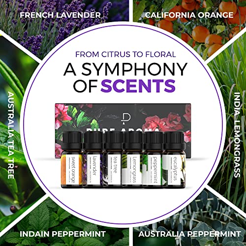 Essential Oils Set by Pure Aroma - Top 6 Aromatherapy Oils Gift Set-6 Pack, 10ml (Eucalyptus, Lavender, Lemongrass, Sweet ...
