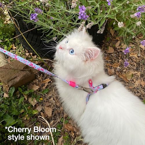 Max and Molly Adjustable Cat Harness and Leash Set - Escape-Proof Cat Harness with Leash for Outdoor Walking and Explorin...