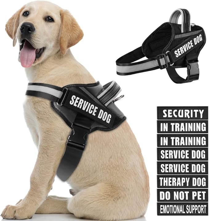 Dog Vest Harness and Patches Set, Animire in Training Service Dog Harness with 10 Dog Patches, Reflective Dog Vest with Ha...