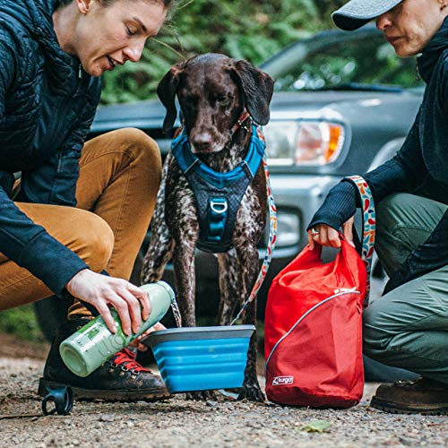 Kurgo Kibble Carrier - Portable Kibble Carrier - Compact Travel Storage - Dog Food Dry Bag - Camping Dog Storage - 5 lb Ca...