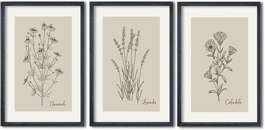 TQianJiang Set Of 3 Framed Vintage Botanical Prints Wall Art 16"×11" Wildflower Pictures Wall Decor for Bedroom Bathroom L...