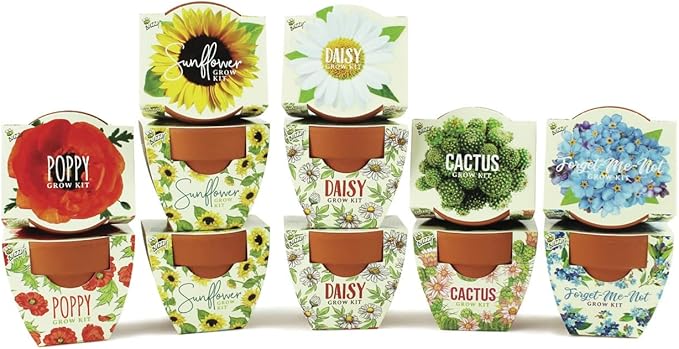 BUZZY Seeds Mini Terracotta Pots 12-Pack with Plant Seeds, Poppy, Sunflower, Daisy, Cactus and Forget Me Not, All-in-One S...