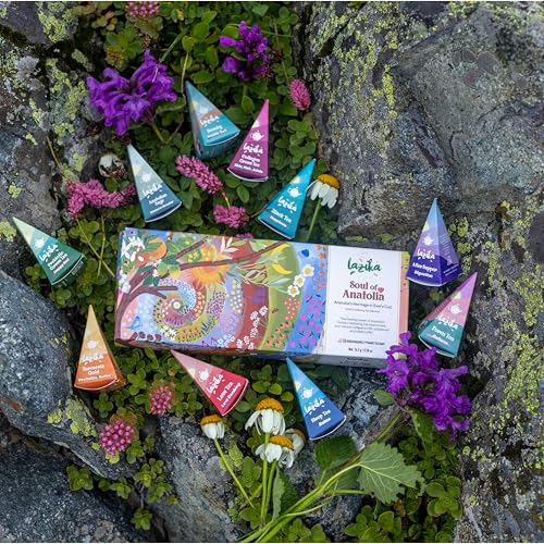 Lazika Tea Sampler with Lovely Presentation Box, 10 Counts, 2 of Each Blend Individually Wrapped, Black, Green and Herbal ...
