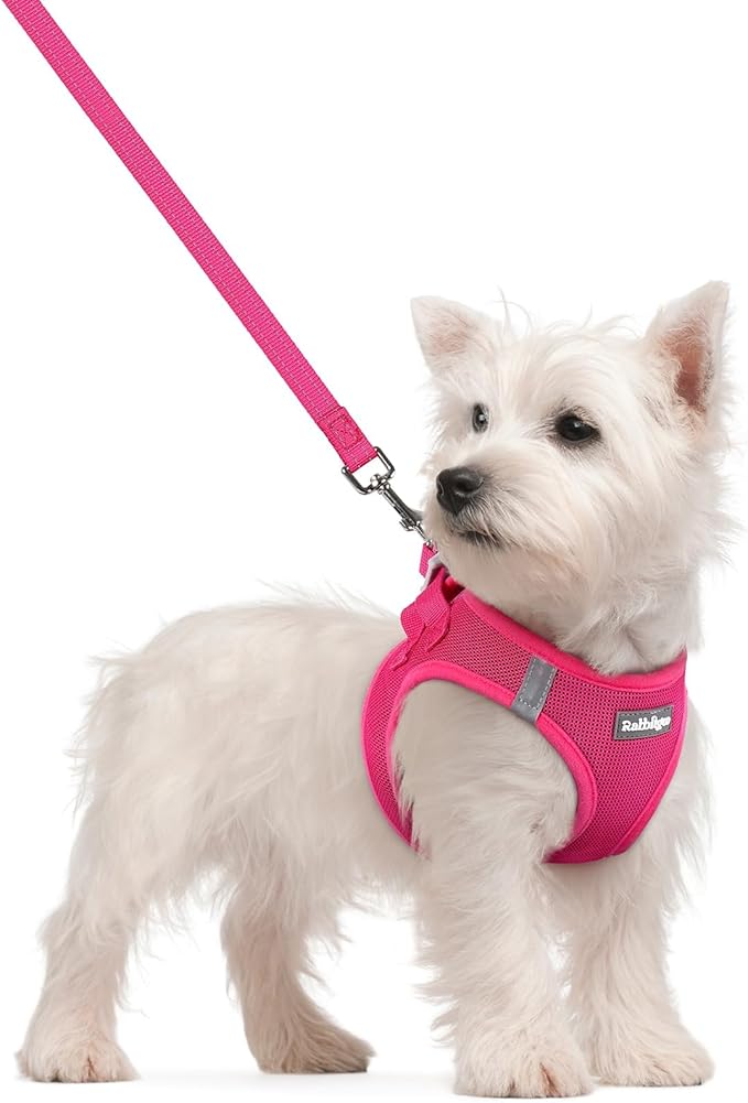rabbitgoo Dog Harness Small Sized and Leash Set, Step in Soft Light Puppy Vest, Breathable Mesh Pet Harness, Reflective fo...