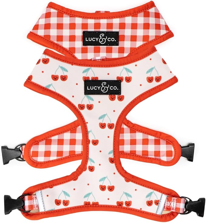 Lucy & Co. Cheery Cherries, Cute Reversible Dog Harness Walking Halter - Best Designer Pet Harnesses for XS - XL Dogs - Pa...