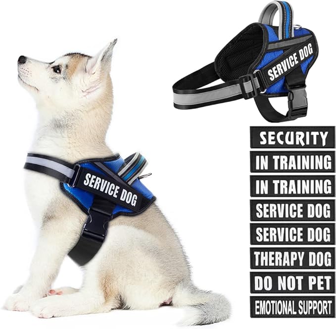 Dog Vest Harness and Patches Set, Animire in Training Service Dog Harness with 10 Dog Patches, Reflective Dog Vest with Ha...