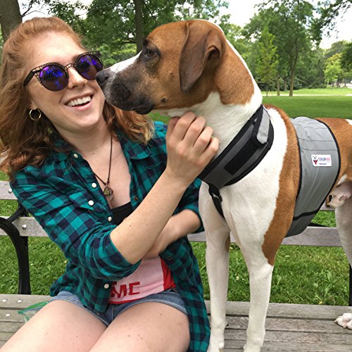 CoolerDog Dog Cooling Vest & Cooling Collar – Ice Vest for Hot Weather Heat Relief, Re-Freezable Pure Water Inserts (Mediu...