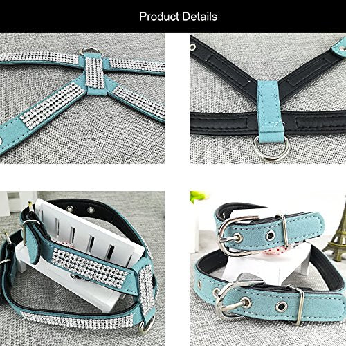Newtensina Fashion Puppy Harness with Diamantes and Lead Cute Girl Bling Dog Harness with Bling Leash for Small Dogs - Blu...