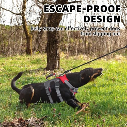 PUPTECK Escape Proof Dog Harness and Leash Set Upgraded No Pull Reflective Dog Vest with Lift Handle, Easy Control Pet Har...