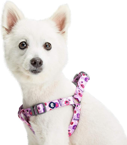 Blueberry Pet Essentials Step-in Spring Scent Inspired Garden Floral Dog Harness in Light Purple, Chest Girth 16.5" - 21....