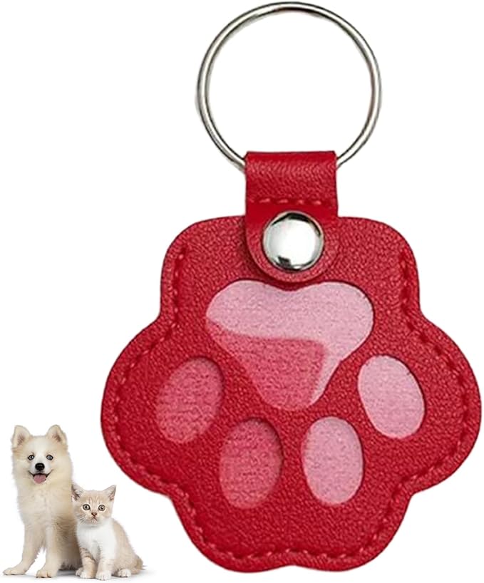 Aypvora Cat Dog Hair Storage Keychain, Cat & Dog Lovers Gifts, Pet Hair Keychain, Fur Keepsake Keyring - Pet Memorial Gifts