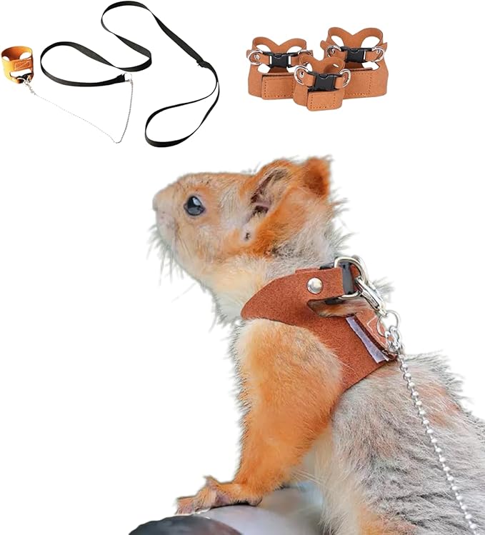 3 Pack Squirrel Harness and Leash Set - Adjustable Soft Leather & Traction Rope Strap Anti-Biting Chainfor Small Pet Walk ...