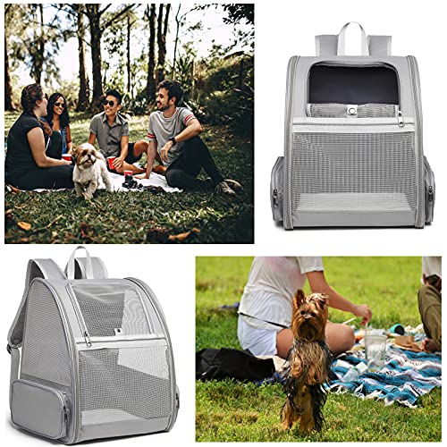 Texsens Pet Backpack Carrier for Small Cats Dogs | Ventilated Design, Safety Straps, Buckle Support, Collapsible | Designe...