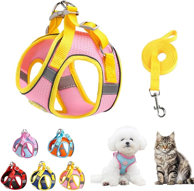 Ittokis Dog Harness for Small Medium Dogs, Kitten Harness and Leash Set, Step in Harness for Walking, Running, Training, S...