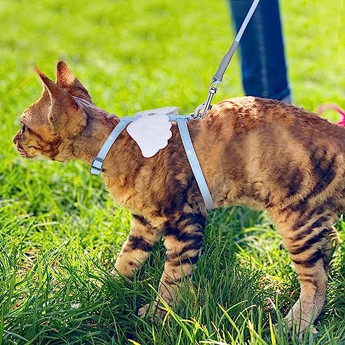 TIESOME Cat Harness and Leash Set, Adjustable Gradient Kitten Harness Escape Proof Harness with Leash for Kitty Outdoor Wa...