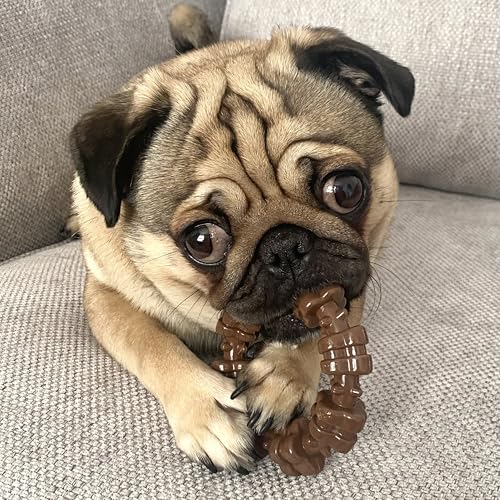 Nylabone Textured Ring Power Chew Toy for Small Dogs, Tough Dog Toys Durable Design for Aggressive Chewers, Best Dog Bored...