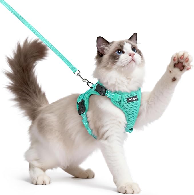 rabbitgoo Cat Harness and Leash, Escape Proof Vest with 3 Adjustable Buckles, Soft Comfortable Kitten Harness, Easy to Wea...